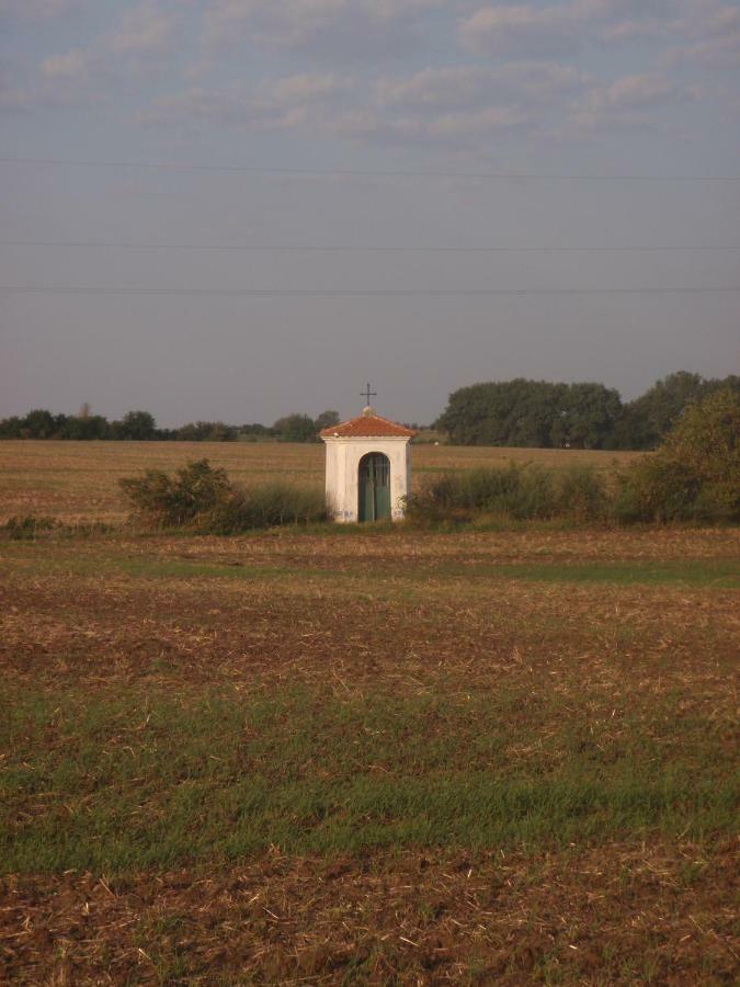Penzion U Malera Hroznova Lhota Buitenkant foto